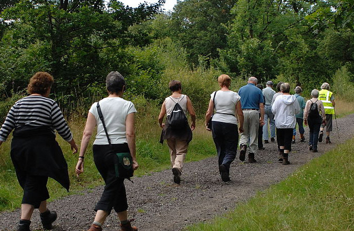 Gesund leben durch Walking im Wald