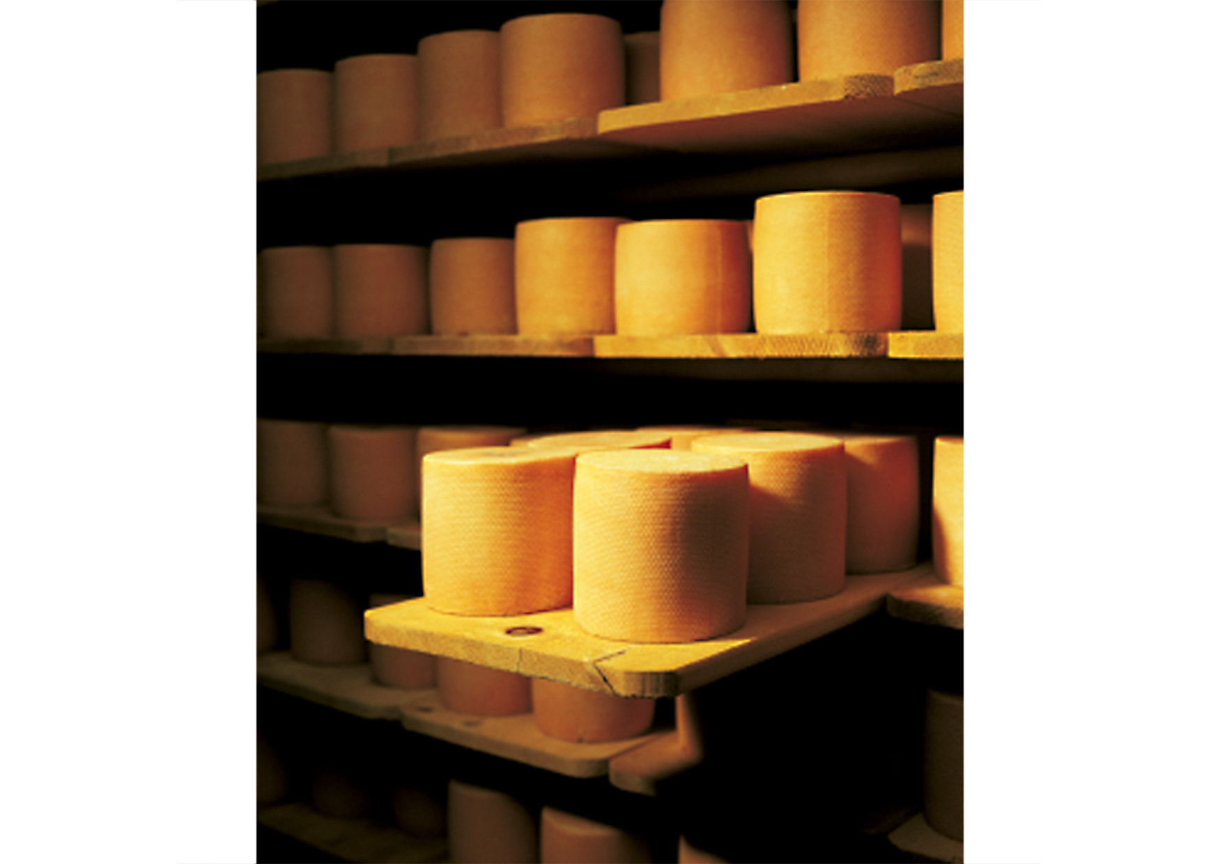 Käse Tête de Moine Museum