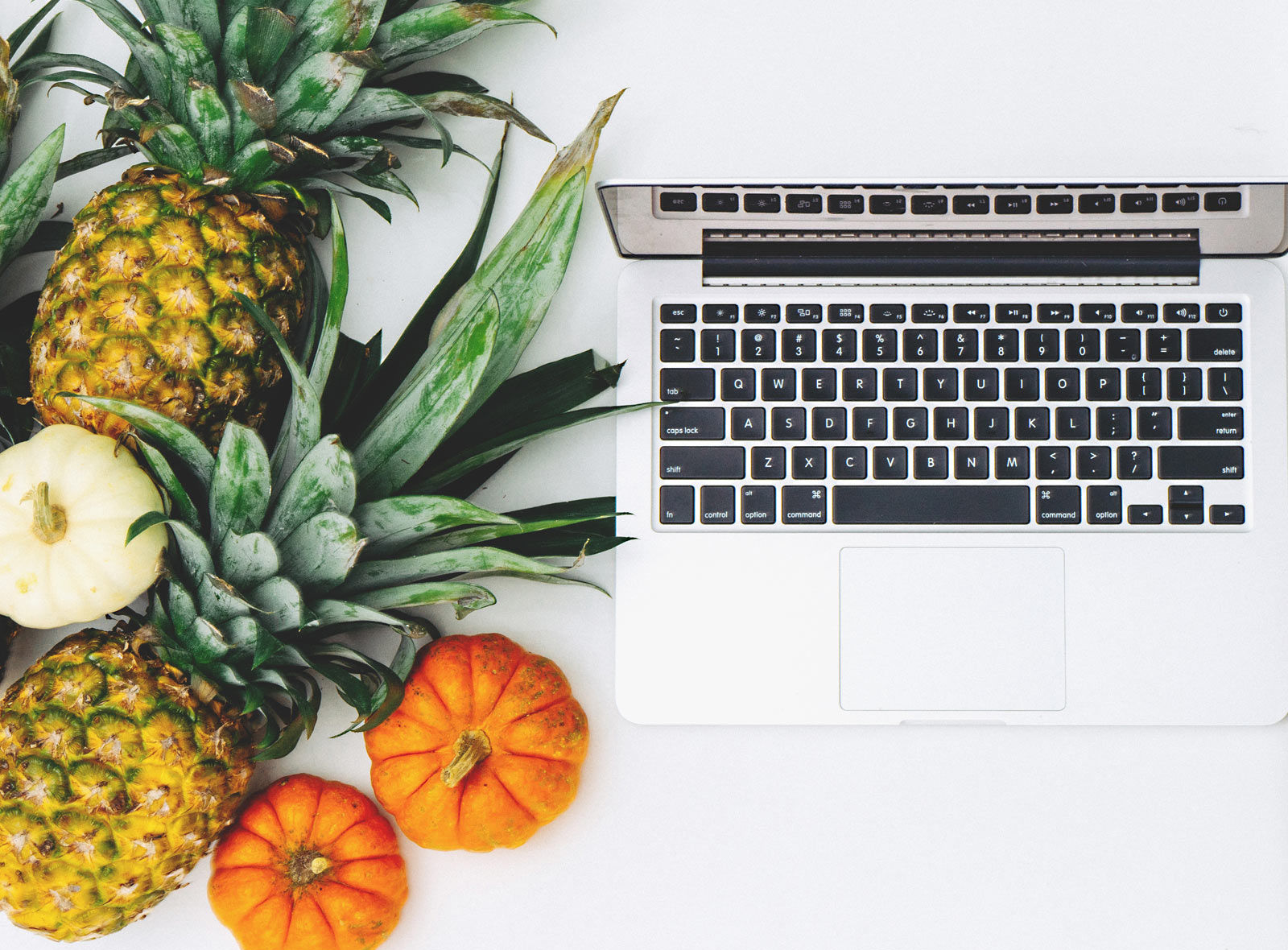 Digital Food Früchte online bestellen