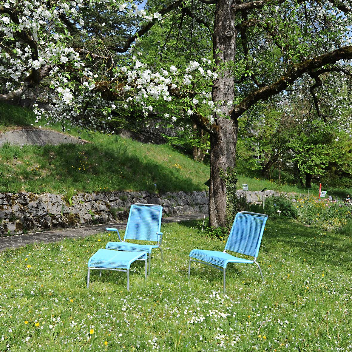 Altorfer Lounge Set Farbe Blau von Embru altorfer lounge set farbe blau von embru