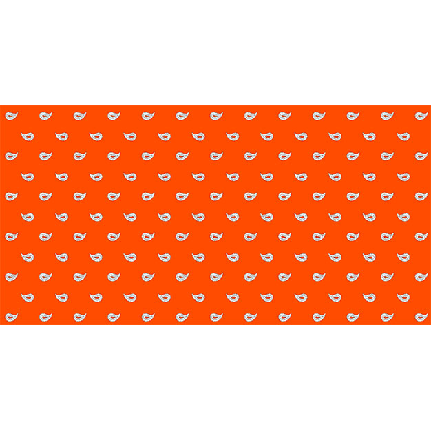 Glarner Tüechli – Paisley-Motiv – Farbe orange glarner tüechli paisley motiv farbe orange