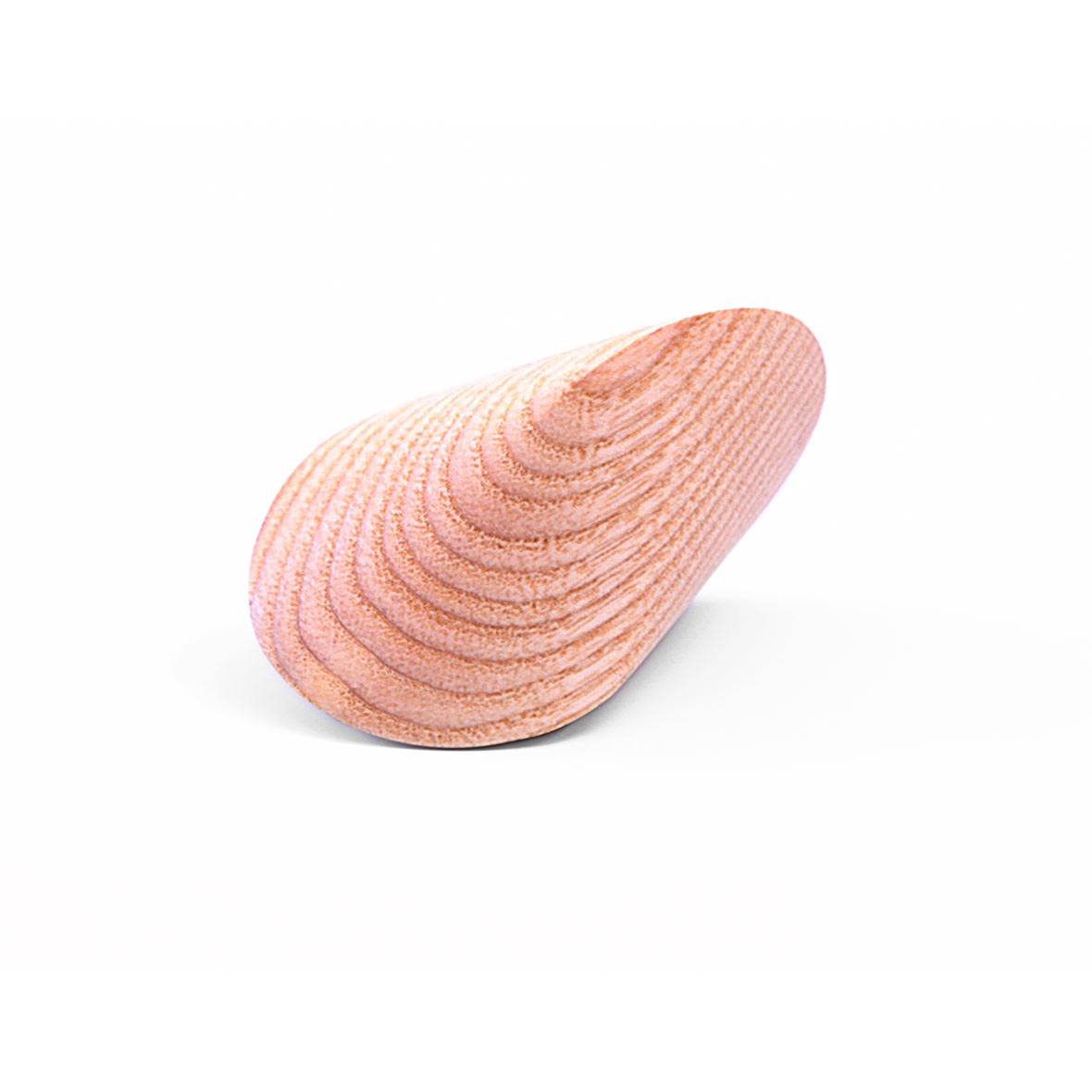 Oloid Holz – in verschiedenen Designs oloid holz esche kuboid
