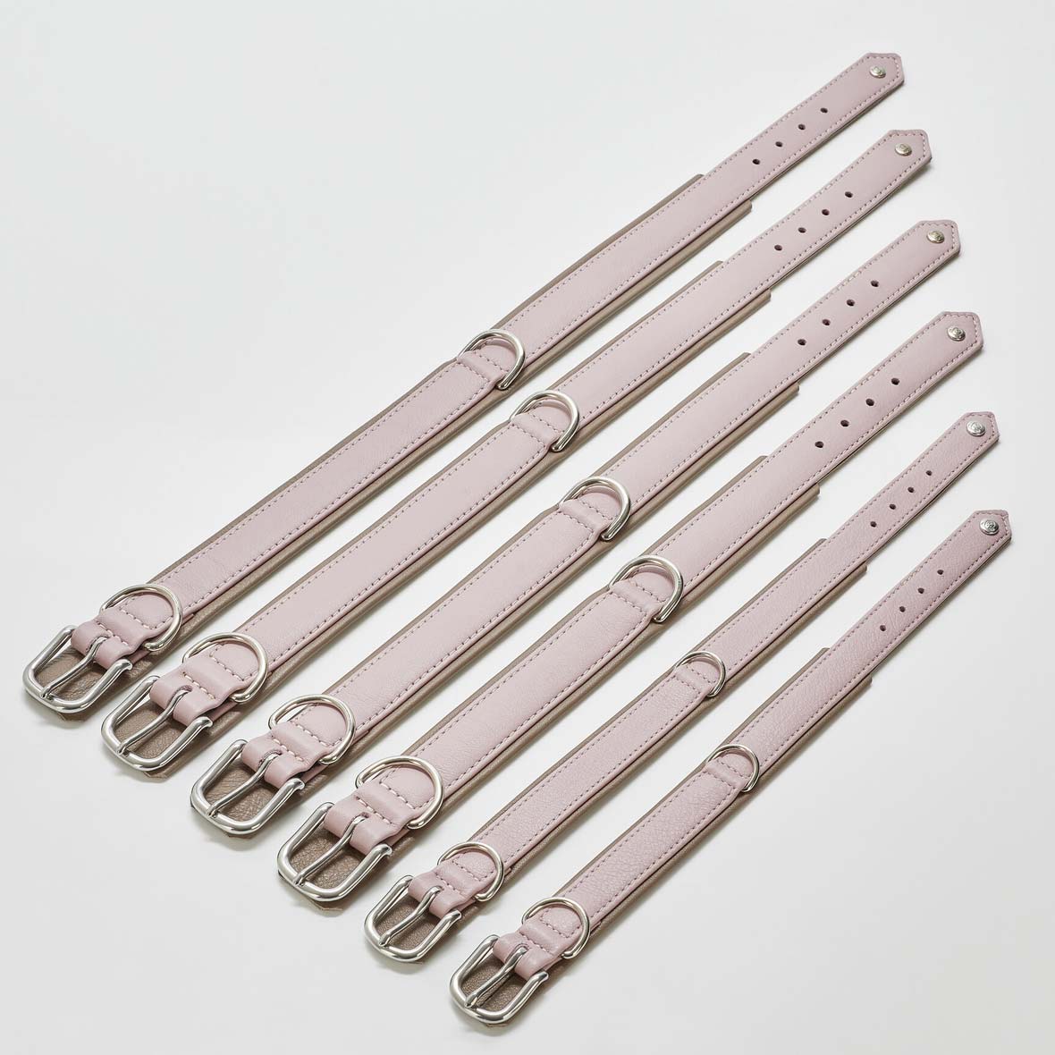 Hundeleine und Halsband Amici hundehalsban rose amici laboni