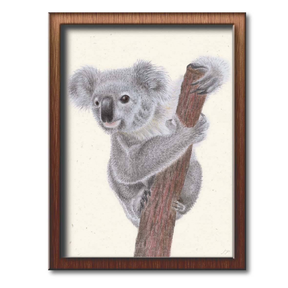 Poster „Knuddliger Koalabär“ teddy koala baer poster rahmen janine pfister
