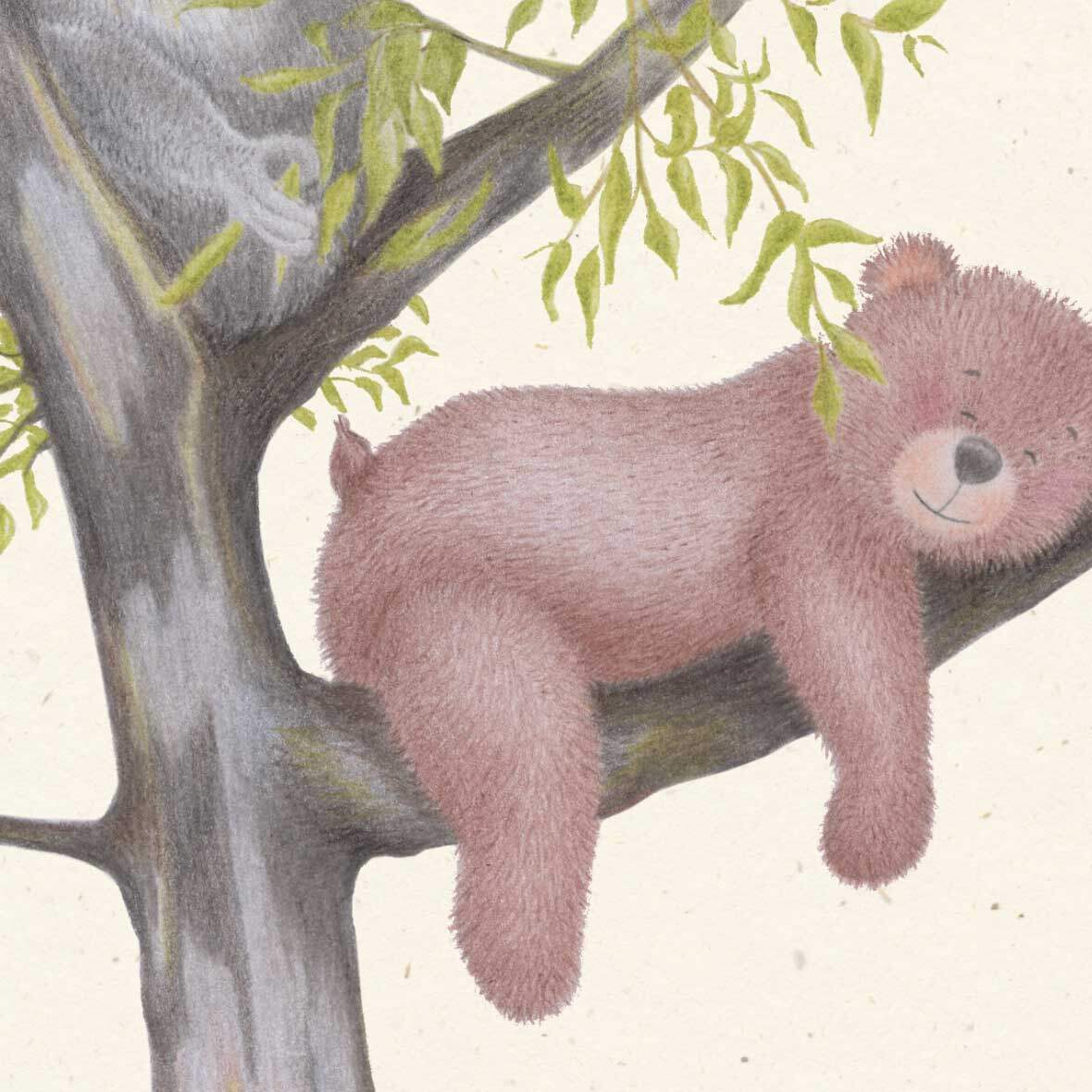 Poster „Teddy und der Koalabär“ teddy und koalabaer detail janine pfister