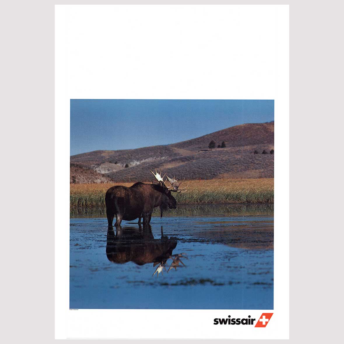Original Airline – Plakate Swissair Elch plakt swissair elch 1982 wolfensberger