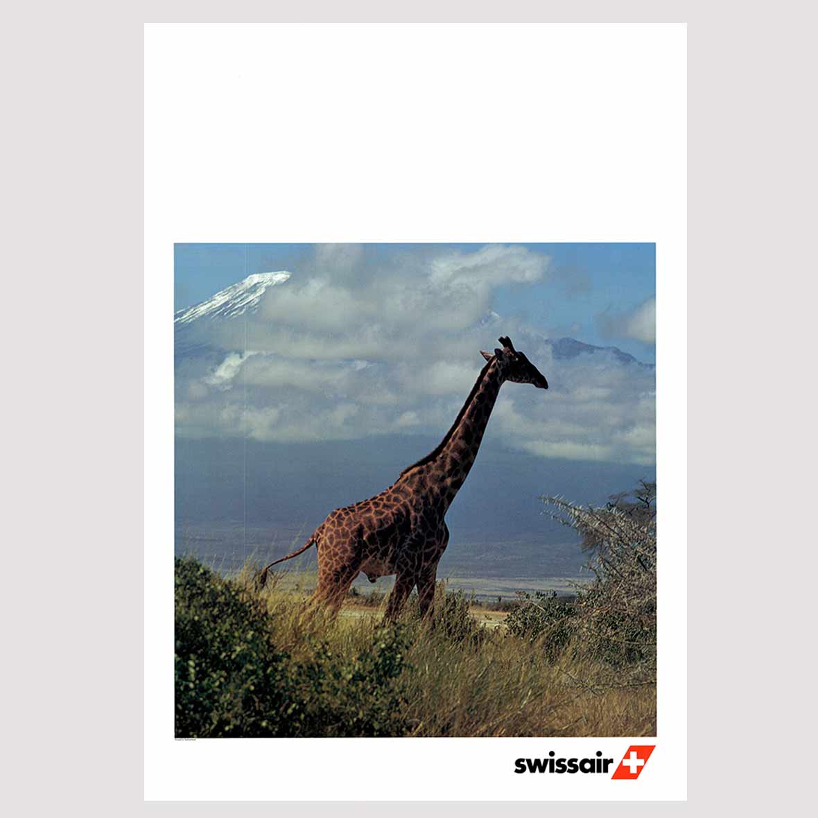 Original Airline – Plakate Giraffe plakat swissair giraffe wolfensberger
