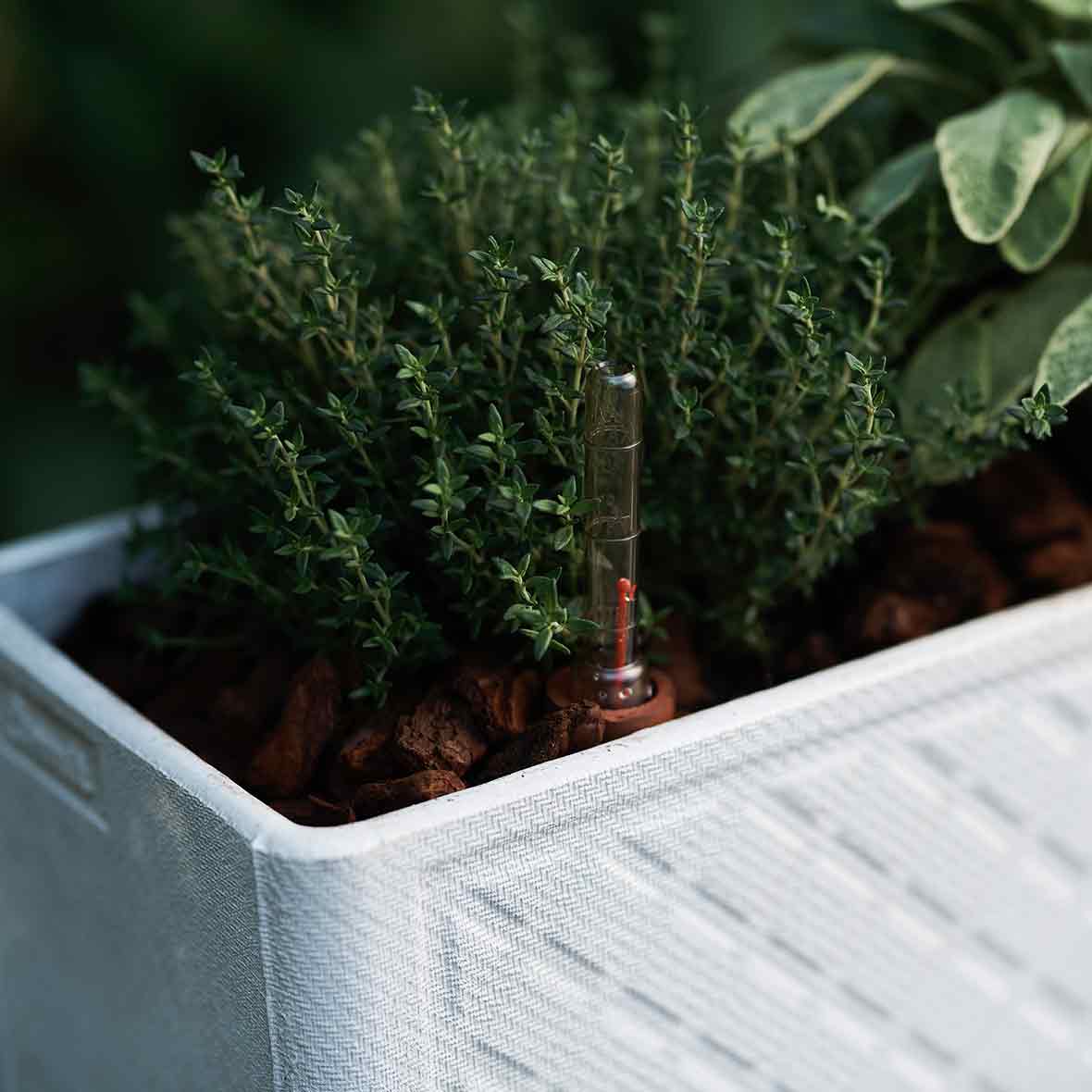 Pflanzengefäss Balconia Reservoir balconia reservoir ausschnitt swisspearl