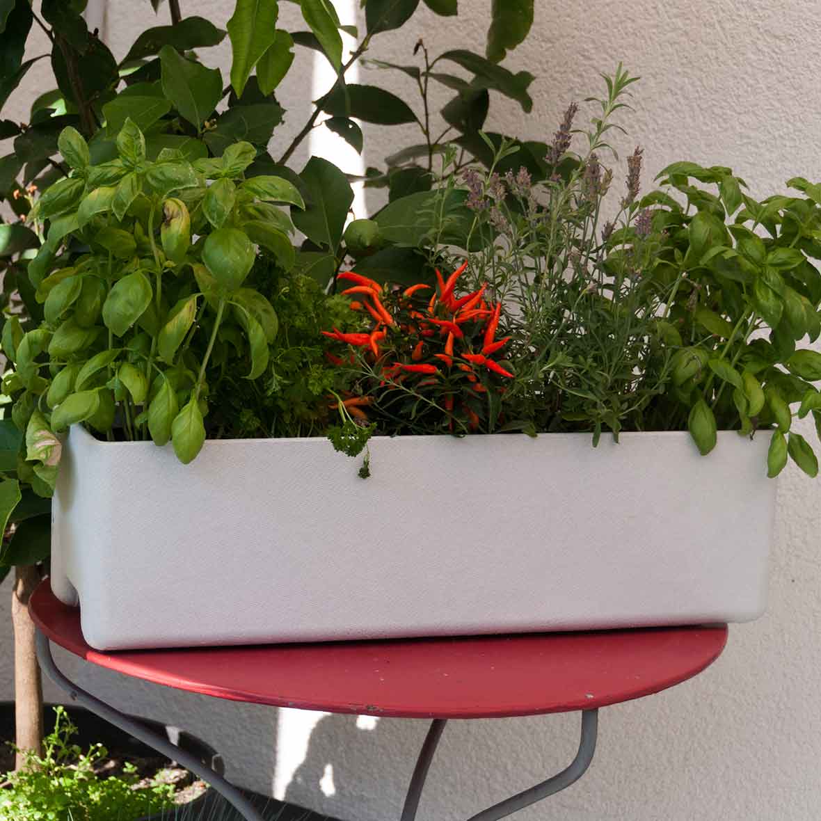 Pflanzengefäss Balconia balconia design kraeuter swisspearl