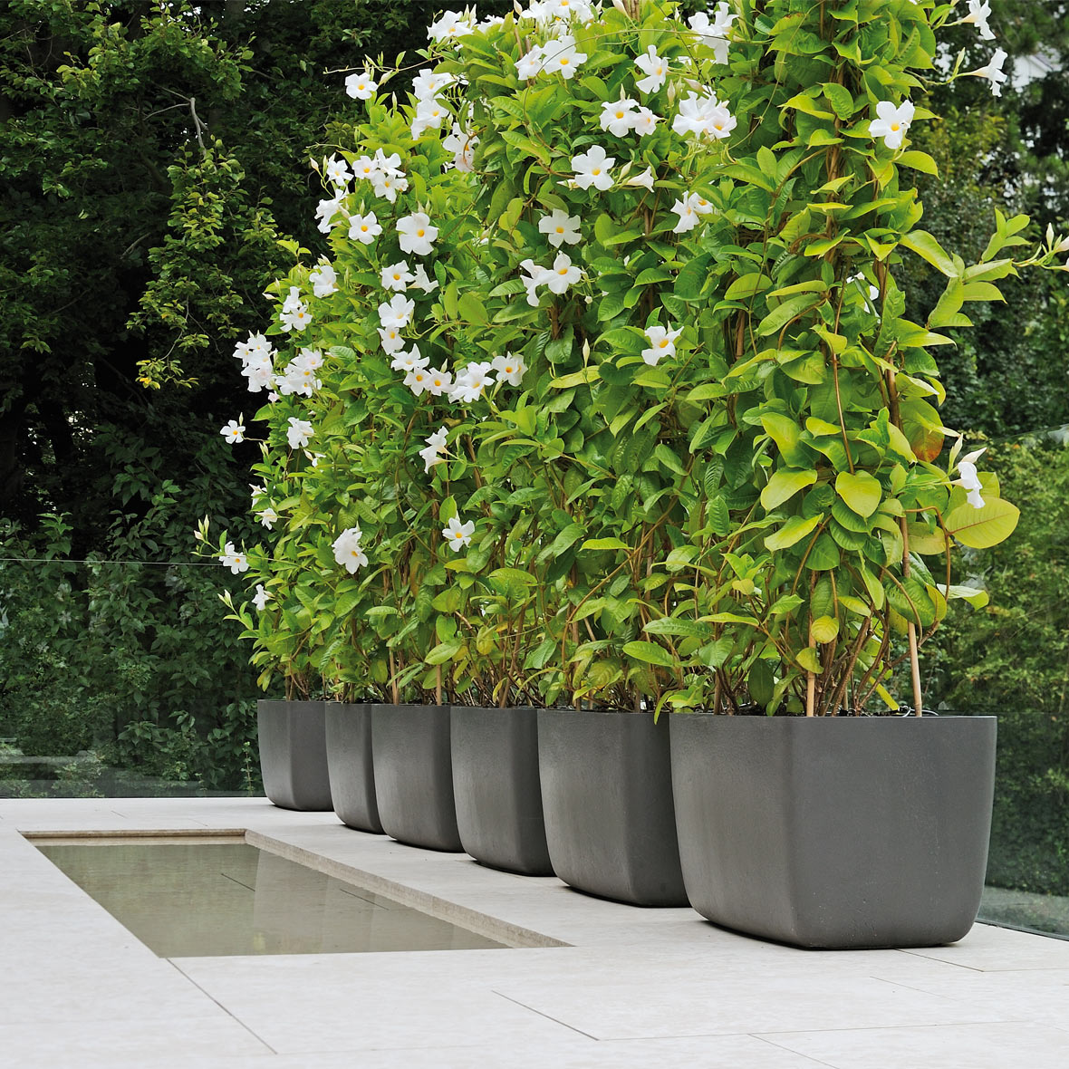 osaka topf swisspearl osaka topf swisspearl