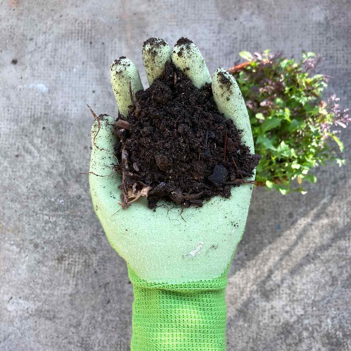 gartenhandschuhe-bestswiss gartenhandschuhe bestswiss