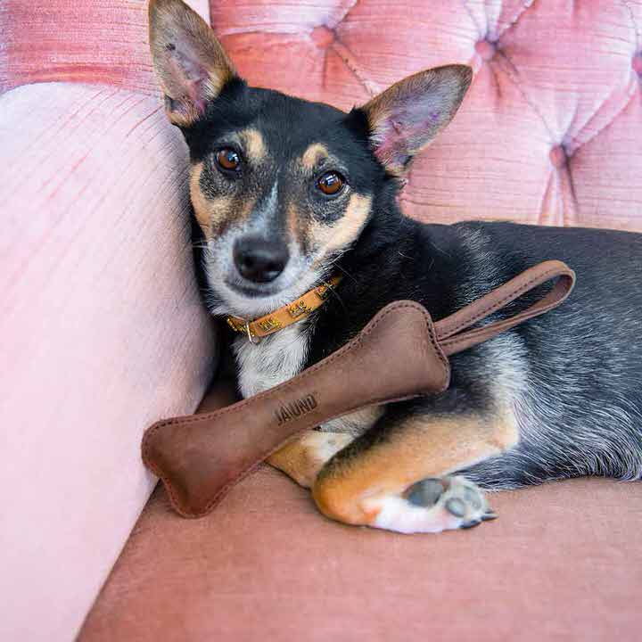 Hunde-Lederknochen Light hundeknochen jaund light