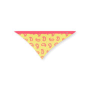 dreiecktuch paisley lime coral le foulard