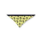 dreiecktuch paisley lime navy le foulard