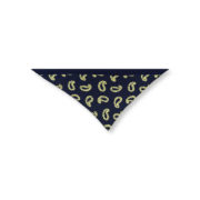 dreiecktuch paisly navy lime le foulard