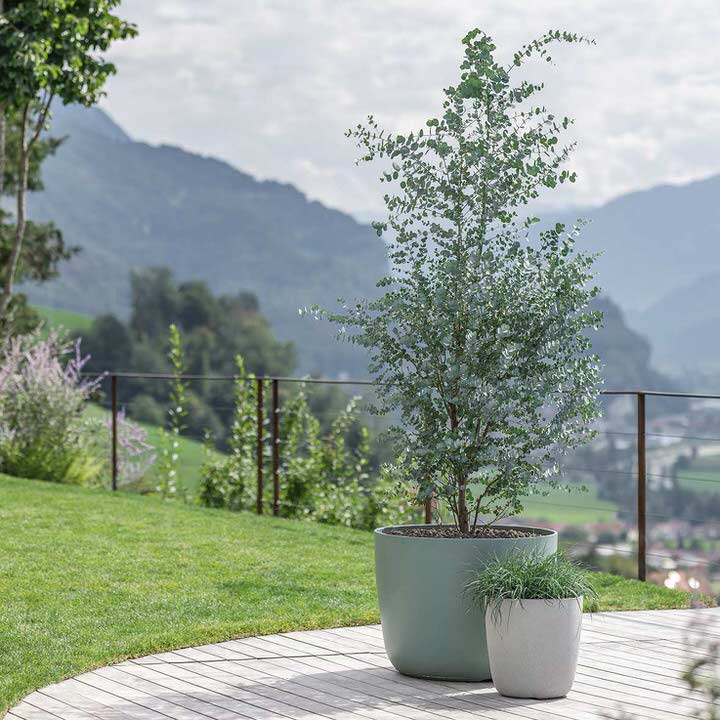 Swisspearl Kyoto Blumentopf kyoto blumentopf mood swisspearl