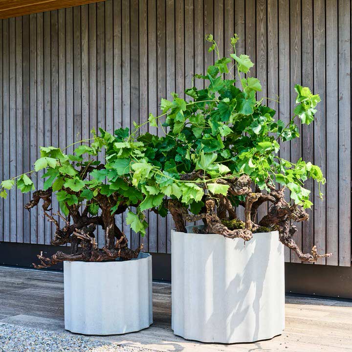 Swisspearl Kolonna Blumentopf blumentopf kolonna mood swisspearl