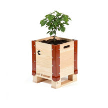 hochbeet stadtgarten bepflanzt contact holz